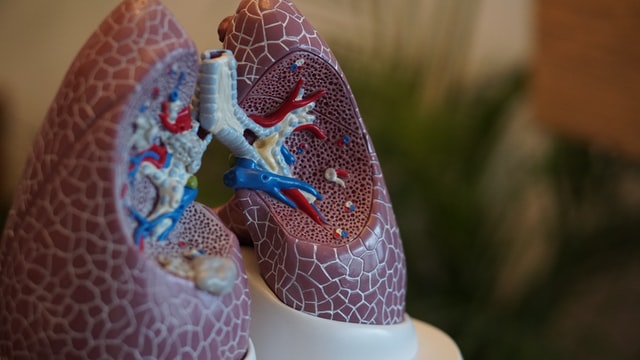 Routine dental visits lead to healthy lungs